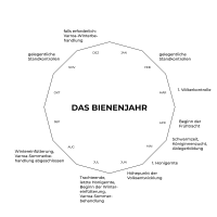 2. Probeimkertag des Bienenzuchtvereins Sulzbach-Rosenberg - Thema: Einführung in die Imkerei