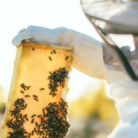 Tag des Museums - Handwerk